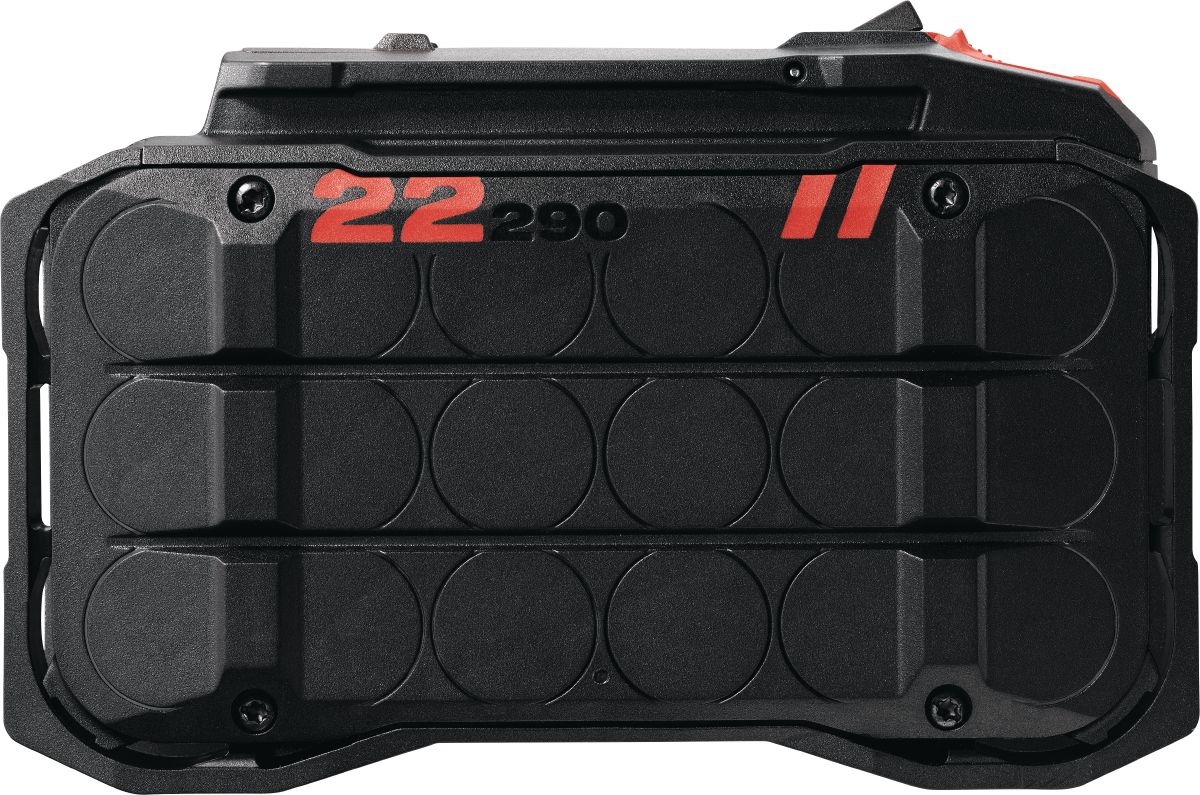 B 22-290 Nuron battery